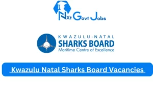 New x1 Kwazulu Natal Sharks Board Vacancies 2024 | Apply Now @shark.co.za for Risk Manager, Security Officer Jobs