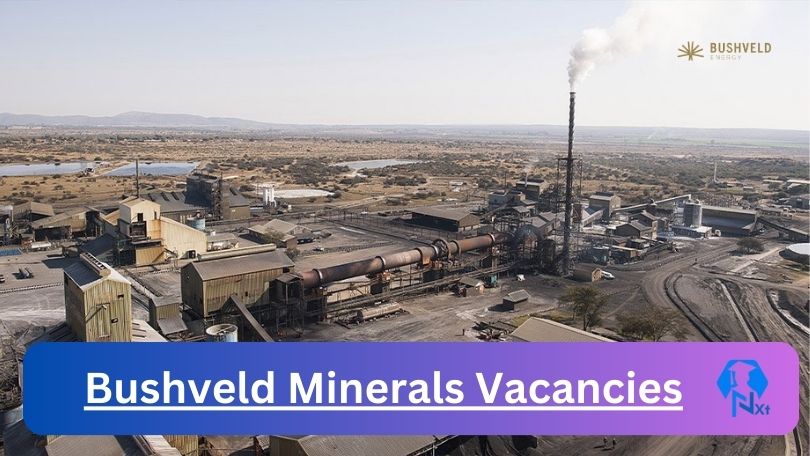 New Bushveld Minerals Vacancies 2024 | Apply Now @www.bushveldminerals.com for Group Manager, Maintenance Engineer Jobs