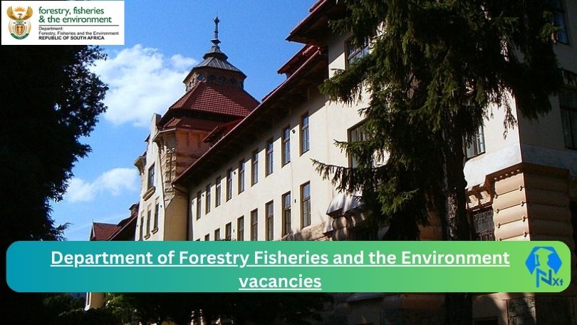[Post x1] Department of Forestry Fisheries and the Environment Vacancies 2024 - Apply @www.dffe.gov.za for Receptionist, Field Operator, Cleaner Job opportunities