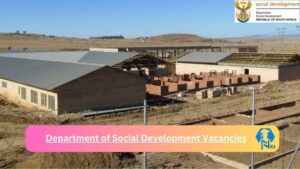 New Department of Social Development Vacancies 2024 | Apply Now @www.dsd.gov.za for Ethics & Integrity Management Practitioner, Assistant Jobs