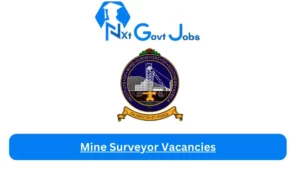 Mine Surveyor Vacancies 2024 - Mine Surveyor Vacancies 2024 @www.pnet.co.za Career Portal
