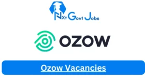 New X3 Ozow Vacancies 2024 | Apply Now @ozow.com for Database Administrator, DevOps Engineer Jobs