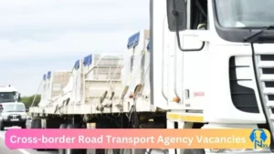 New X1 Cross-border Road Transport Agency Vacancies 2024 | Apply Now @www.cbrta.co.za for Payroll Specialist, Manager Regulation, IT Support Engineer Jobs
