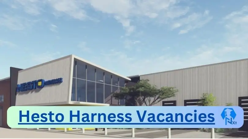 [Post x8] Hesto Harness Vacancies 2024 - Apply @www.hesto.com for Senior Manager Process Engineering, Senior Manager Product Engineering Job opportunities