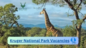 Kruger National Park Vacancies 2024 @www.krugerpark.co.za Career Portal