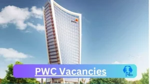 PWC Vacancies 2025: Top x33 Jobs to Apply @www.pwc.co.za