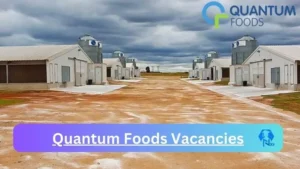 New x5 Quantum Foods Vacancies 2024 | Apply Now @quantum.pnet.co.za for x2 Supervisor Maintenance, x2 General Manager Jobs