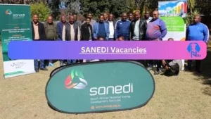New X1 SANEDI Vacancies 2024 | Apply Now @www.sanedi.org.za for Administrator, Support Unit Jobs