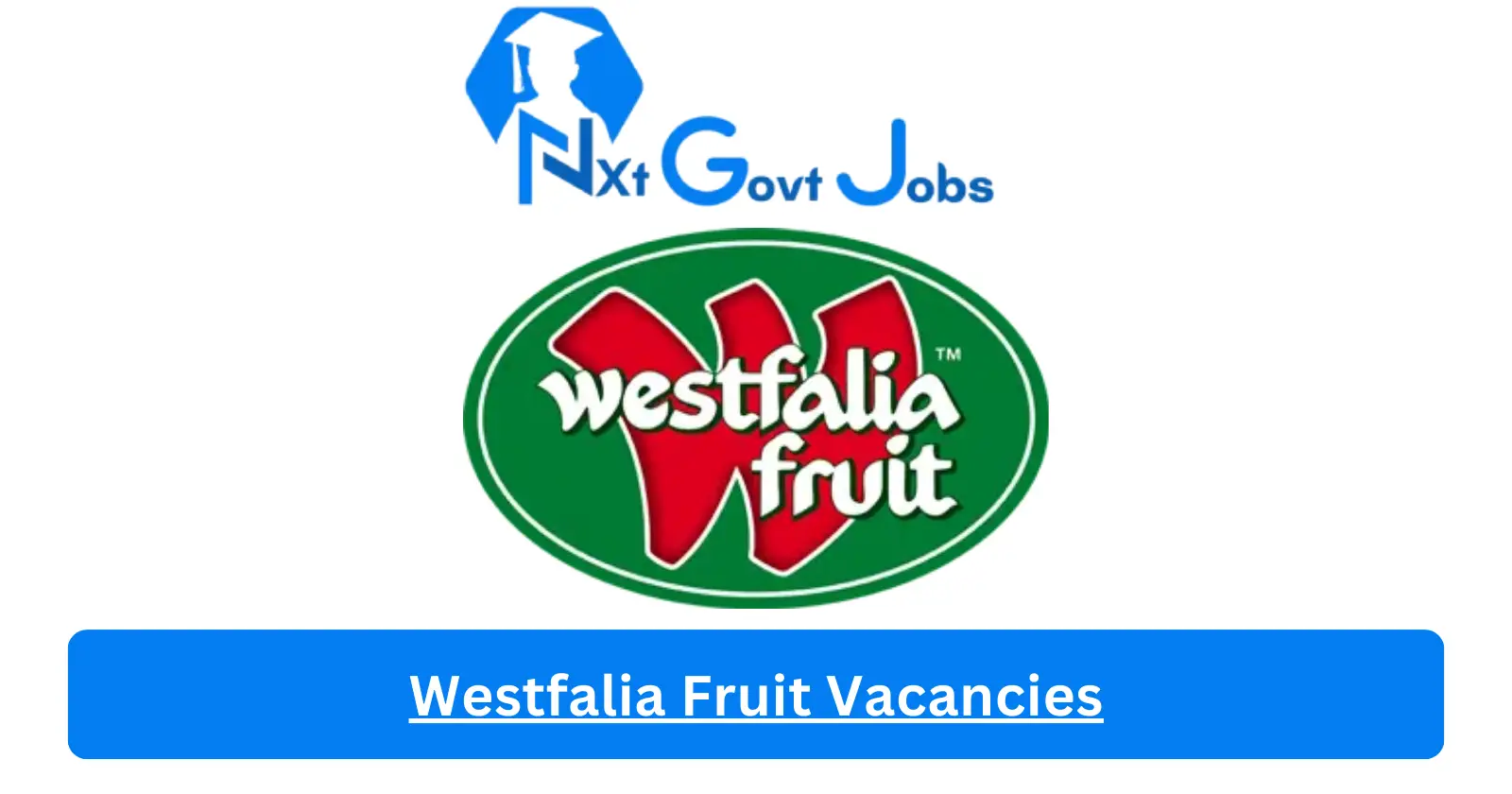 [Post x1] Westfalia Fruit Vacancies 2024 - Apply @www.westfaliafruit.com for Retail Key Accounts Manager, Assistant Job opportunities