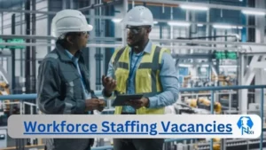 New x1 Workforce Staffing Vacancies 2024 | Apply Now @www.workforcestaffing.co.za for Logistics, Retailer Jobs
