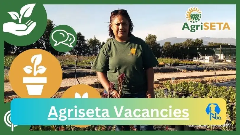 [Posts x1] Agriseta Vacancies 2024 - Apply @www.agriseta.co.za for Packhouse Manager , Farm Manager Job opportunities