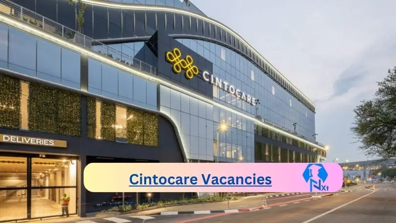 New x4 Cintocare Vacancies 2024 | Apply Now @www.cintocare.com for Registered Nurse, Enrolled Nurse Jobs