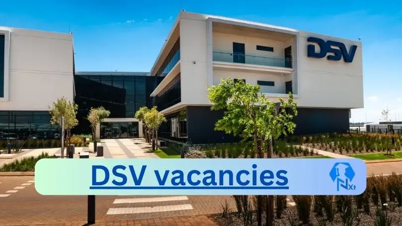 New x16 DSV Vacancies 2024 | Apply Now @www.dsv.com for Team Leader, IT Supporter Jobs