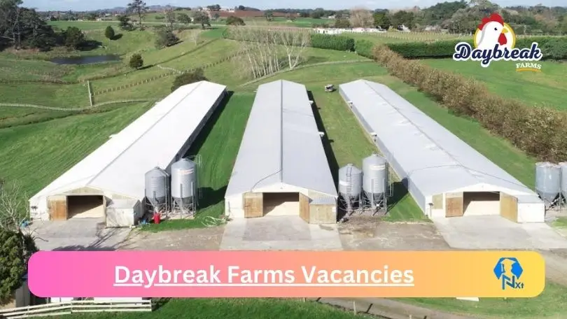 [Posts X1] Daybreak Farms Vacancies 2024 – Apply @www.daybreakfarms.co.za for Head office, Human Capital Job Opportunities