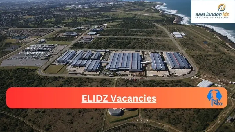 New x1 ELIDZ Vacancies 2024 | Apply Now @www.elidz.co.za for Asset And Access Controller Administrator, Administration Officer Jobs