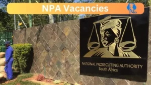 New x3 NPA Vacancies 2024 | Apply Now @www.npa.gov.za for Public Prosecutions Director, Financial Investigator Jobs