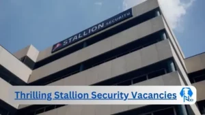 x9 Stallion Security Vacancies 2025 Opportunities @www.stallion.co.za Career Portal