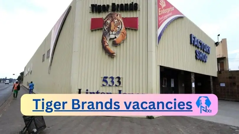 March Tiger Brands Vacancies 2025: Top X5 Jobs To Apply @www ...