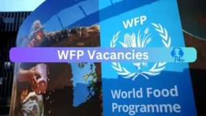 New X12 WFP Vacancies 2024 | Apply Now @www.wfp.org for Admin, Cleaner Jobs